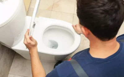 Como Identificar e Resolver o Entupimento no Vaso Sanitário: Dicas Práticas
